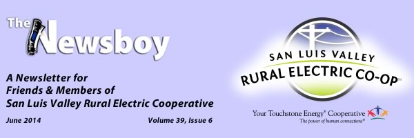 June 2014 issue of The Newsboy