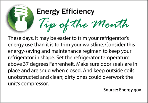 Energy Efficiency Tip of the Month